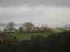 Photo Number 6